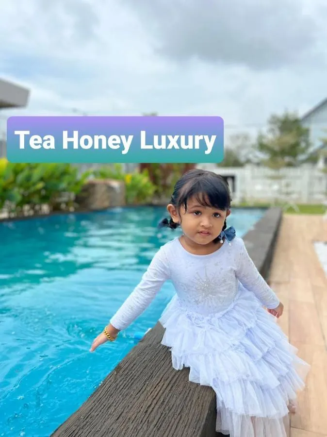 Willa Tea Honey Luxury Melaka